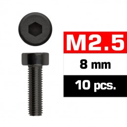 TORNILLOS M2,5x8mm...