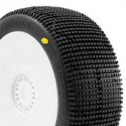 TRIGON v3 BUGGY C2 (SOFT)...