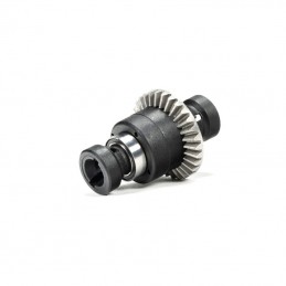 ASSEMBLED DIFFERENTIAL 30T...