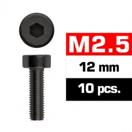 TORNILLOS M2,5x12mm...