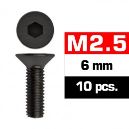 TORNILLOS M2,5x6mm...